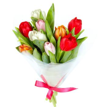 9 тюльпанов (Артикул   309386)