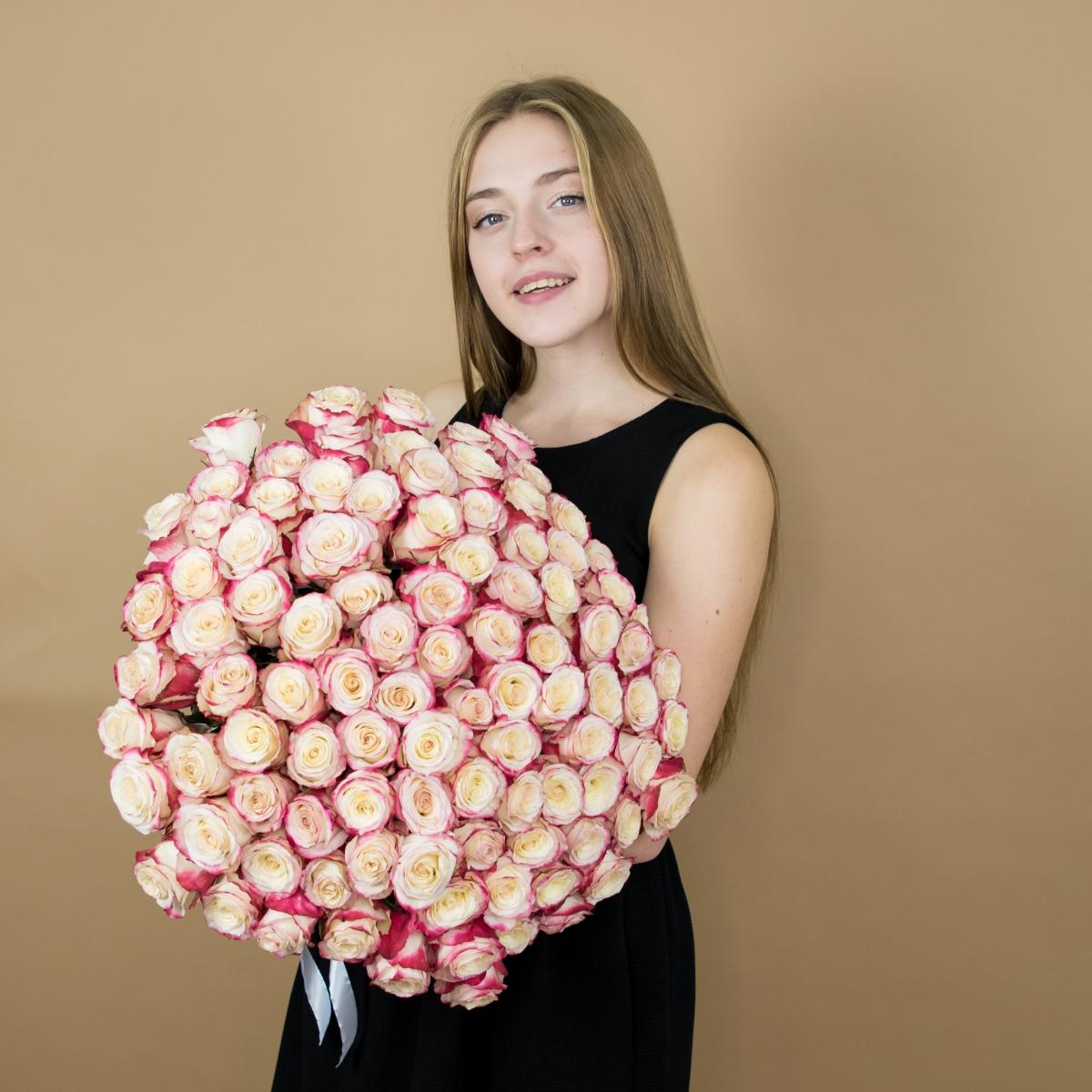 Розы красно-белые (40 см) Эквадор articul  462