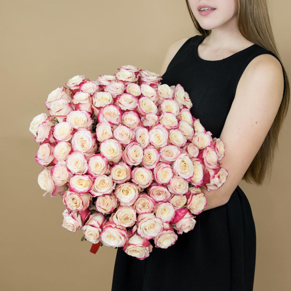 Розы красно-белые 101 шт. (40 см) код товара - 82236