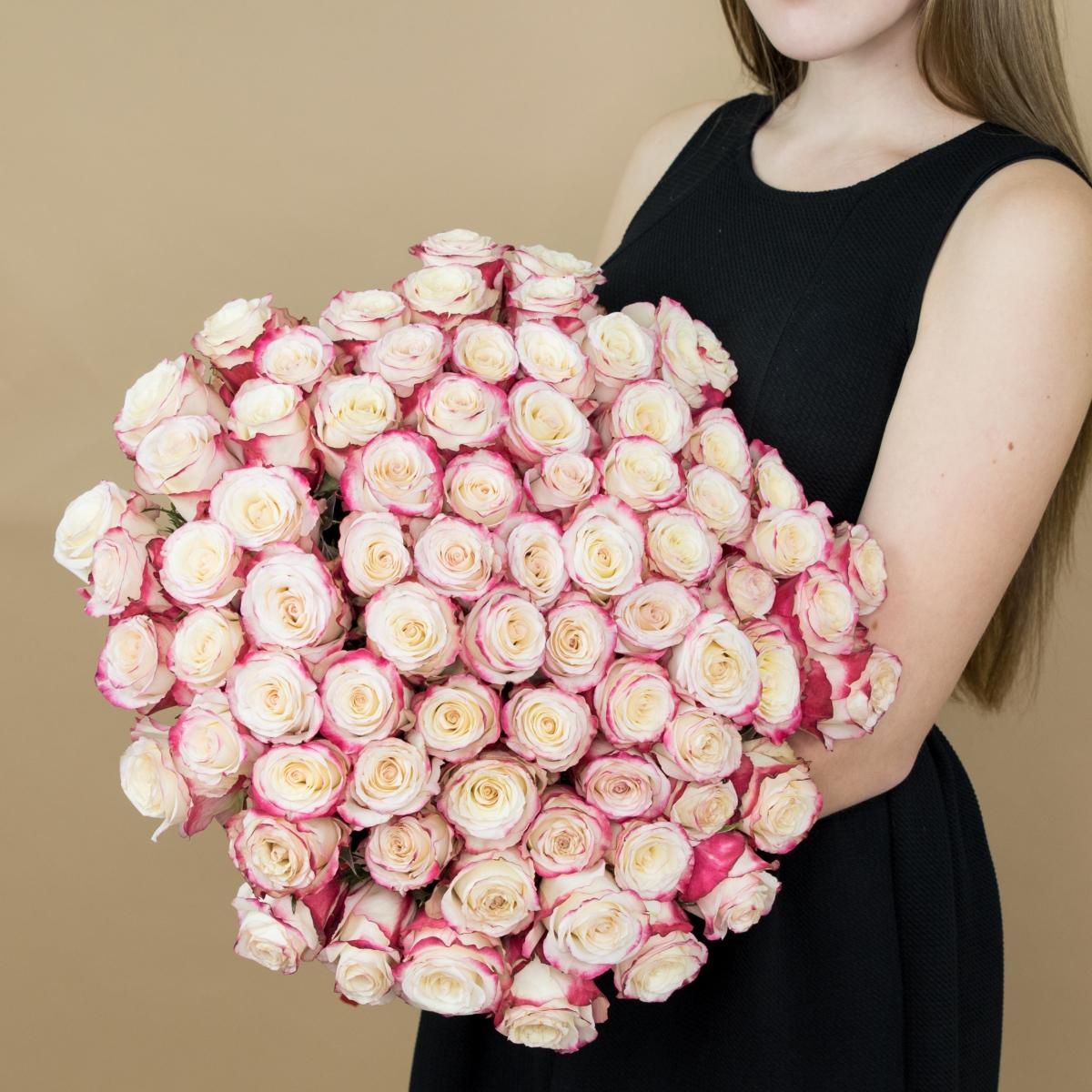 Розы красно-белые 101 шт. (40 см) код товара - 82236