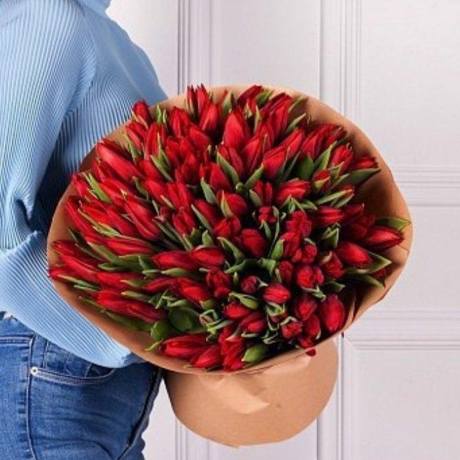 Красные тюльпаны 101 шт №  133826